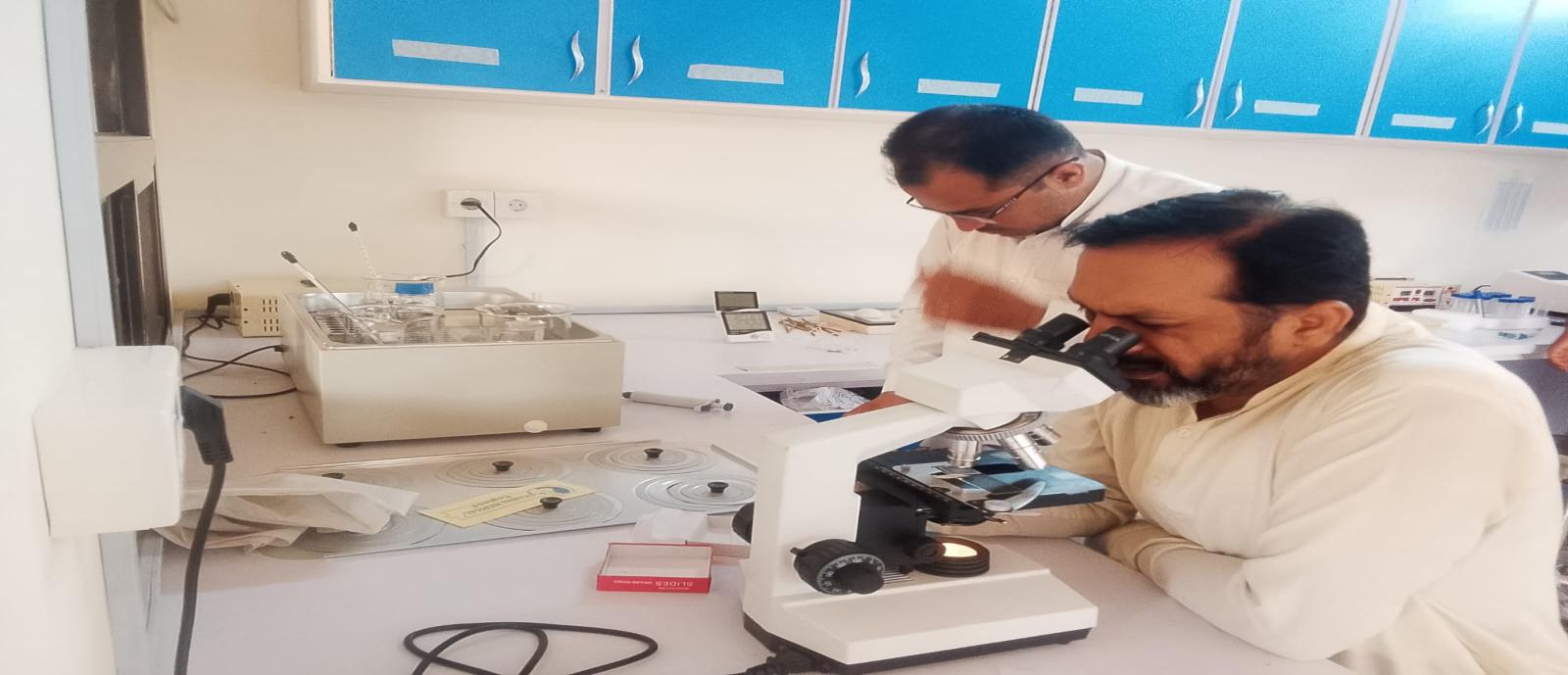 Semen Production Unit Tando Jam