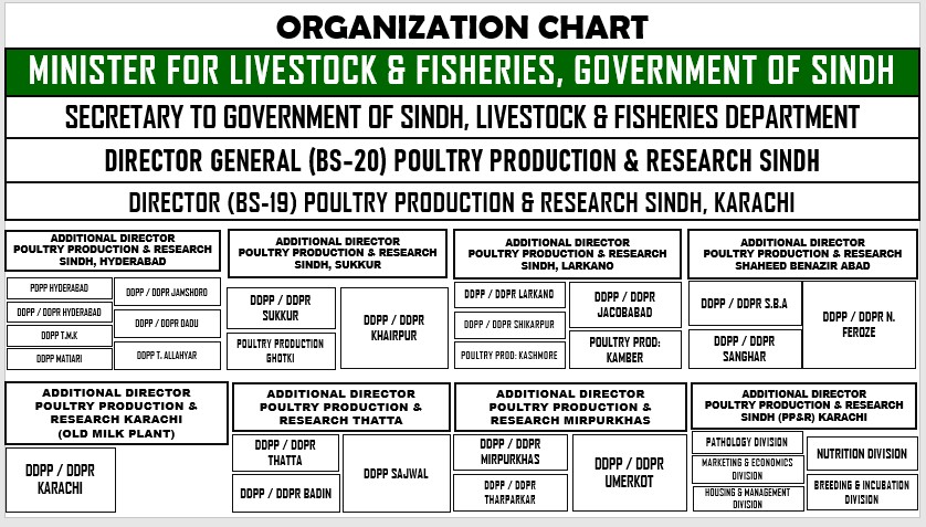 Organization Chart