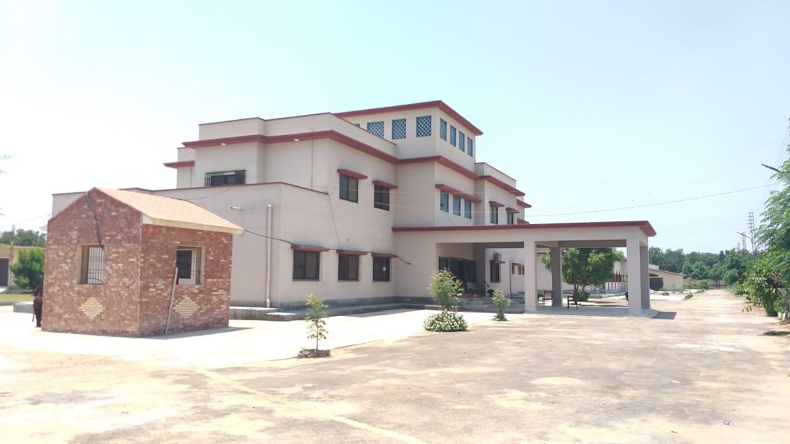 Strengthening of Semen Production Unit Tando Jam