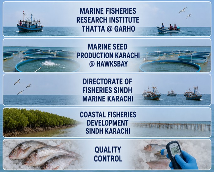 Divisions of Directorate General Fisheries