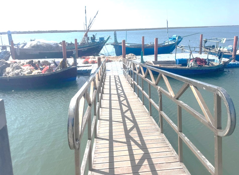 Establishment of Jetties in District Badin and Sujawal