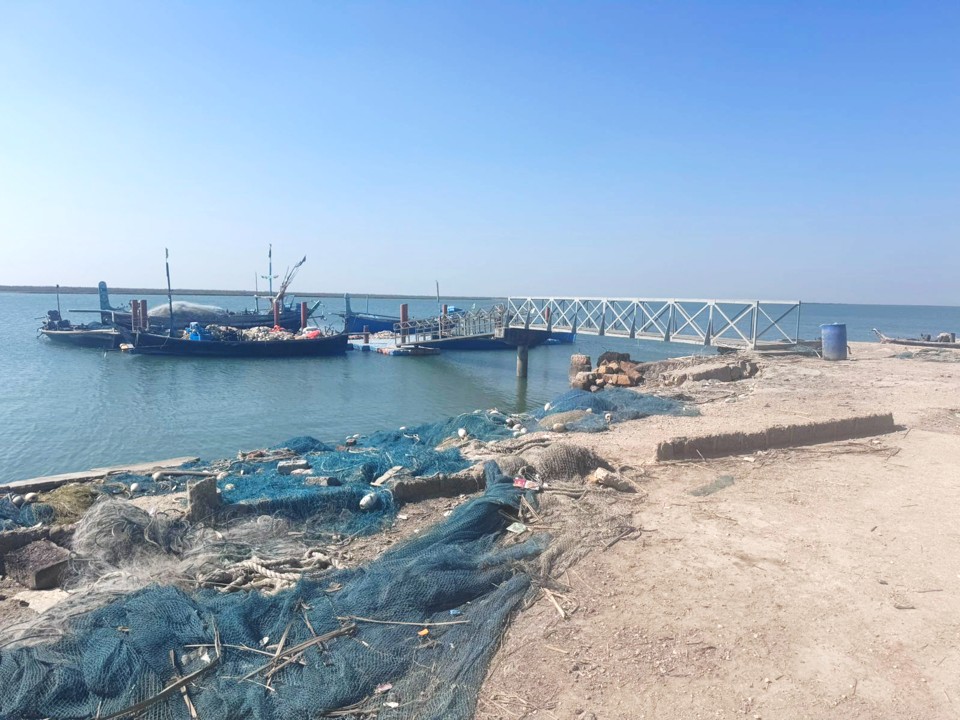 Establishment of Jetties in District Badin and Sujawal