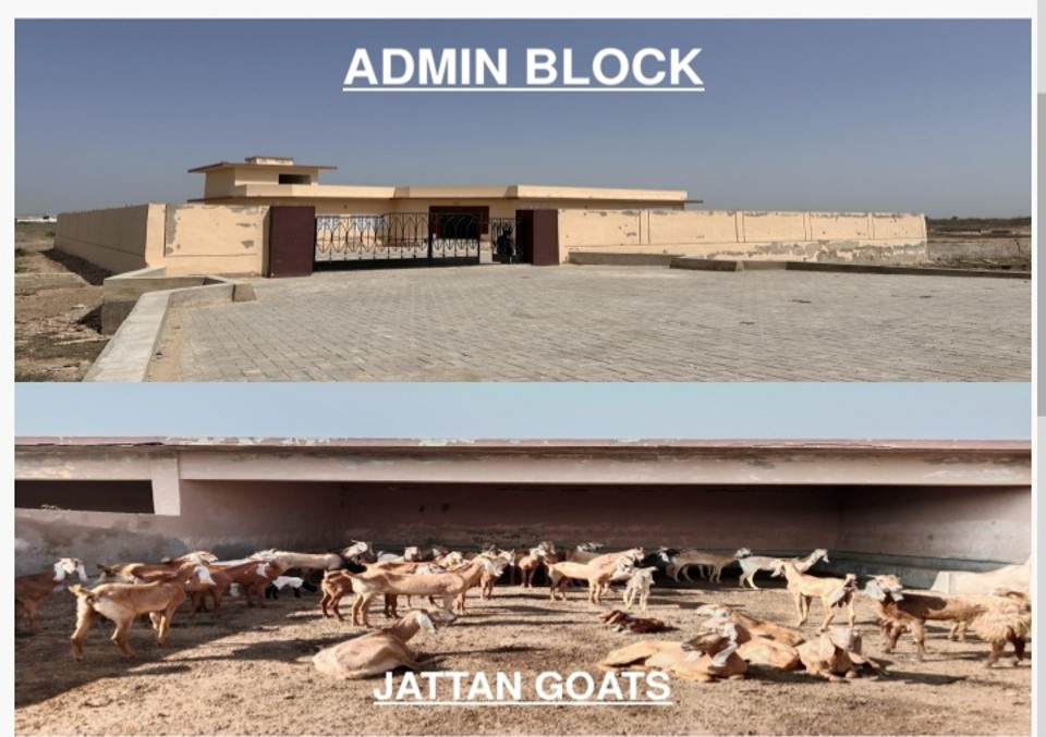 Revitalization of Abandoned Farms of Livestock Department at Umerkot and Tando Allahyar