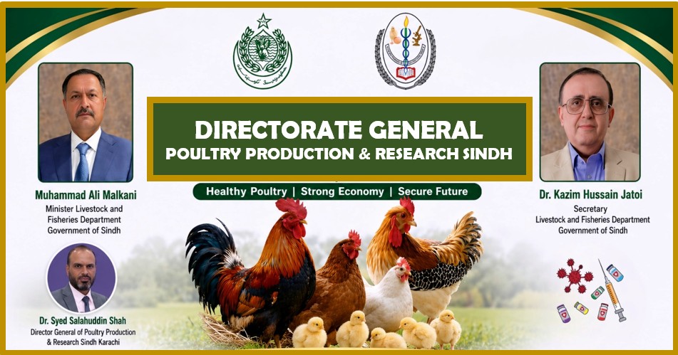 Directorate of Poultry Production and Research Sindh