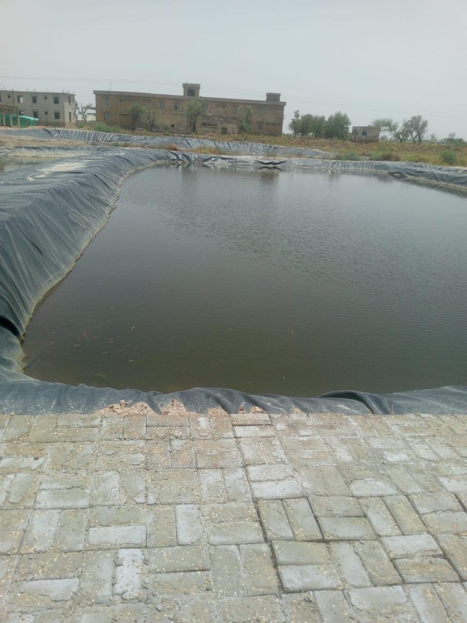 Saline Fish Seed Production for Aquaculture Development in Sindh